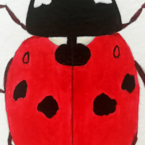 Ilustratie Pictura Tablou Buburuza in Acuarele pe Hartie - arte vizuale și accesorii  - picturi - acuarele picturi - Artynos.ro