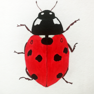 Ilustratie Pictura Tablou Buburuza in Acuarele pe Hartie - arte vizuale și accesorii  - picturi - acuarele picturi - Artynos.ro