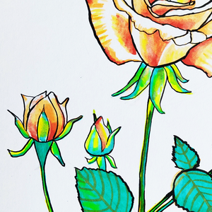 Ilustratie Desen Tablou Floare Trandafir Galben-Portocaliu - arte vizuale și accesorii  - grafică, ilustrație - alte desene - Artynos.ro