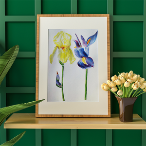 Ilustratie Pictura Tablou Acuarele Flori Iris Galben si Albastru - Artynos.ro