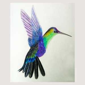 Ilustratie Desen Tablou Creioane Colorate Pasare Colibri - Artynos.ro