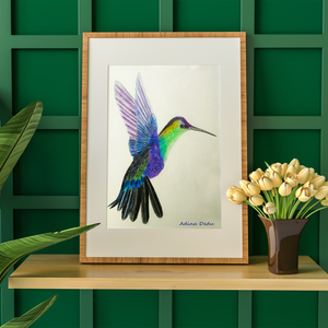 Ilustratie Desen Tablou Creioane Colorate Pasare Colibri - arte vizuale și accesorii  - grafică, ilustrație - alte desene - Artynos.ro