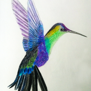 Ilustratie Desen Tablou Creioane Colorate Pasare Colibri - arte vizuale și accesorii  - grafică, ilustrație - alte desene - Artynos.ro