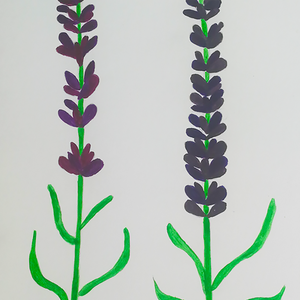 Ilustratie Pictura Tablou Acuarele Flori Lavandă - arte vizuale și accesorii  - picturi - acuarele picturi - Artynos.ro