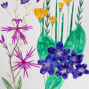 Ilustratie Pictura Tablou Acuarele Flori de Camp Galbene, Roz si Violet - arte vizuale și accesorii  - picturi - acuarele picturi - Artynos.ro