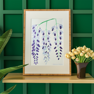 Tablou Ilustratie Flori Glicină Violet - arte vizuale și accesorii  - grafică, ilustrație - alte desene - Artynos.ro