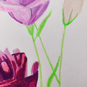 Tablou Ilustratie Flori Lisianthus/Eustoma Roz, Violet și Bordeaux - arte vizuale și accesorii  - grafică, ilustrație - alte desene - Artynos.ro