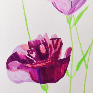 Tablou Ilustratie Flori Lisianthus/Eustoma Roz, Violet și Bordeaux - arte vizuale și accesorii  - grafică, ilustrație - alte desene - Artynos.ro