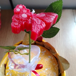 Fluture pe frunze - casă & stil de viață - lumânări, parfumuri, arome - ceară parfumată - Artynos.ro