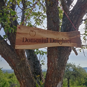 Semn adresa casa sau panou descriere, Casa & Stil de viata, Decoratiuni de casa, Decoratiuni de pereti, Placa decorativa, Gravare, pirogravura, Prelucrarea lemnului, ARTYNOS