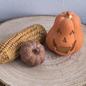 Pachet de decorare de toamna din ipsos pictat, , , ARTYNOS