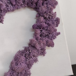 Tablou inimă cu licheni stabilizați  - casă & stil de viață - decorațiuni de casă - decorațiuni de pereți - tablou cu licheni - Artynos.ro