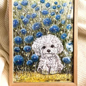 Tablou pictură Bichon în grădină cu albăstrele  - casă & stil de viață - decorațiuni de casă - picturi murale - tablouri/picturi pe pânză - Artynos.ro
