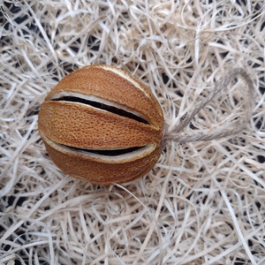 6 globuri naturale portocală uscată - crăciun - decorațiuni de crăciun de casă - globuri de crăciun - Artynos.ro