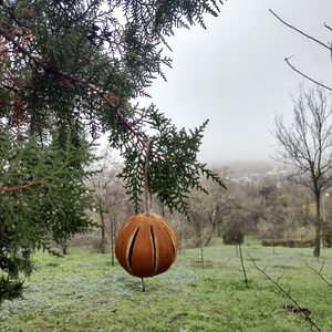 6 globuri naturale portocală uscată - crăciun - decorațiuni de crăciun de casă - globuri de crăciun - Artynos.ro