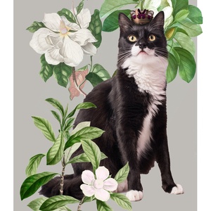 Tablou pisica Print botanic portret pisica cadou print botanic print flori decoratiune interioara design interior poster, Casă & Stil de viață, Accesorii pentru decorat casa, Picturi murale, Postere, Fotografie, grafică, desen, ilustrație, Pictură, ARTYNOS