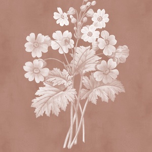 Tablou flori Print botanic print flori cadou print botanic caramiziu decoratiune interioara design bucatarie poster, Casă & Stil de viață, Accesorii pentru decorat casa, Picturi murale, Postere, Fotografie, grafică, desen, ilustrație, Pictură, ARTYNOS