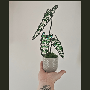 Planta din Cristale - Alocasia 02 - Suncatcher - Artynos.ro