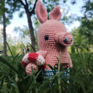 Porcușorul Salvamar - Artynos.ro