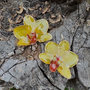 Cercei argint 925 din rasina si flori naturale - Orhidee - bijuterii - cercei - cercei din argint - Artynos.ro