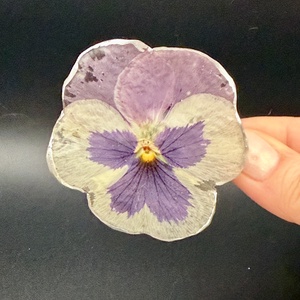 Agrafa de Par cu Panseluta Naturala � Accesoriu Botanic, Imbracaminte si moda, Accesorii par, Banda de par si agrafe par, Confectionarea bijuteriilor, ARTYNOS