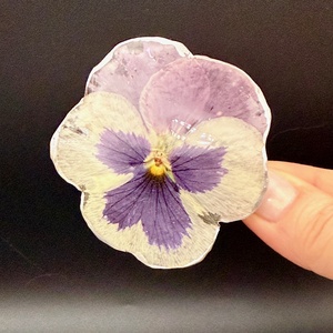 Agrafă de Păr cu Panseluță Naturală � Accesoriu Botanic - îmbrăcăminte și modă - accesorii păr - bandă de păr și agrafe păr - Artynos.ro