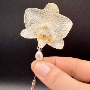 Brosa Orhidee Naturala Alba � Accesoriu Floral delicat , Bijuterii, Brose, Confectionarea bijuteriilor, ARTYNOS