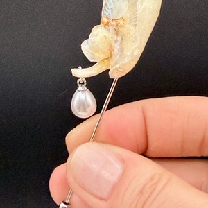 Broșă Elegantă din Orhidee Naturală � Detaliu Floral star dust albastru - bijuterii - broșe - Artynos.ro