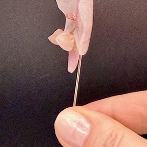 Broșă Orhidee Naturală � Accesoriu Premium cu Prindere din Oțel - bijuterii - broșe - Artynos.ro