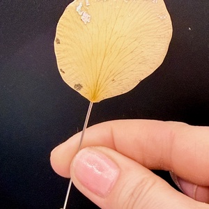 Brosa Handmade cu Petala de Trandafir galben � Floare Naturala in Rasina - Artynos.ro