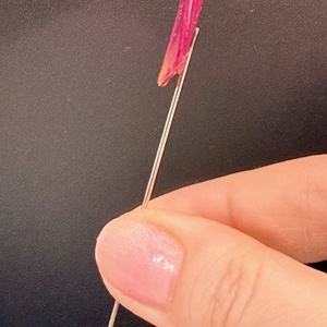 Broșă Elegantă cu Petală de Trandafir Naturală Roz - bijuterii - broșe - Artynos.ro