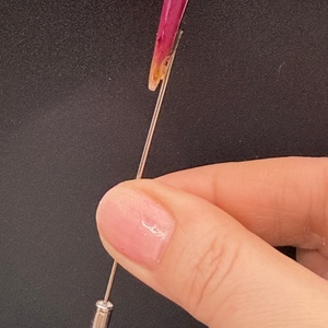 Broșă Florală cu Petală Naturala de Trandafir roz în Rășină - bijuterii - broșe - Artynos.ro