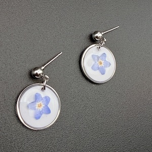 Cercei handmade cu flori de nu-mă-uita � bijuterii florale naturale - bijuterii - cercei - cercei din rășină - Artynos.ro