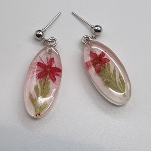 Cercei terariu cu flori presate � bijuterii inspirate din natură - bijuterii - cercei - cercei din rășină - Artynos.ro