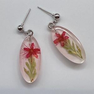 Cercei terariu cu flori presate � bijuterii inspirate din natură - bijuterii - cercei - cercei din rășină - Artynos.ro