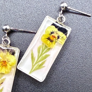 Cercei terariu cu flori presate � bijuterii inspirate din natură - bijuterii - cercei - cercei din rășină - Artynos.ro