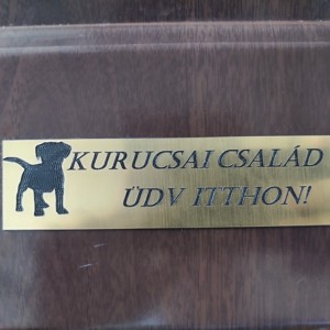 Placa de identificare gravata pentru usa sau cutie postala cu inscriptie unica, , , ARTYNOS
