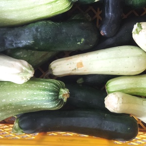 Dovlecei Si Zuchini, Alimente, Fructe, legume, , ARTYNOS