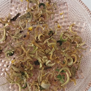 Seminte pentru plantat galbenele(Calendula officinalis) - Artynos.ro
