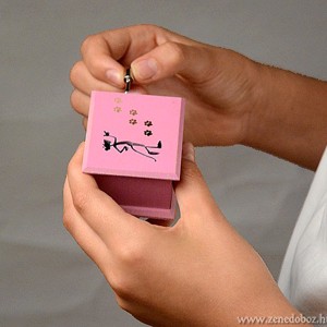Pink Panther cutie muzicală  - casă & stil de viață - accesorii pentru decorat casa - decorațiuni de masă și decorațiuni pentru rafturi  - cutii muzicale - Artynos.ro