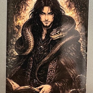 Magnet de frigider Vrajitor cu sarpe, Casa & Stil de viata, Echipamente de bucatarie, Decor de bucatarie, Magneti de frigider, Fotografie, grafica, desen, ilustratie, ARTYNOS