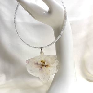 Colier-pandantiv cu flori naturale Orhidee 01134 - Artynos.ro