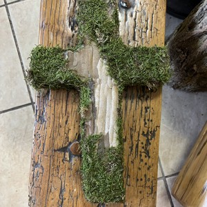 Moss cruce -  - Artynos.ro
