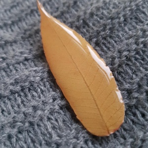 Brosa din frunza naturala brosa din rasina Cadou iubitoare natura padure cadou inedit toamna secret santa craciun - Artynos.ro