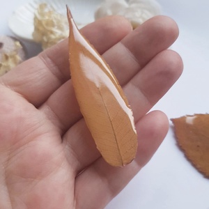 Brosa din frunza naturala brosa din rasina Cadou iubitoare natura padure cadou inedit toamna secret santa craciun - bijuterii - broșe - Artynos.ro