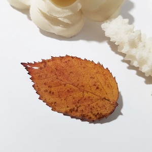 Brosa din frunza naturala brosa din rasina Cadou iubitoare natura padure cadou inedit toamna secret santa craciun, Bijuterii, Brose, Confectionarea bijuteriilor, ARTYNOS