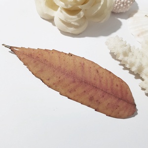 Brosa din frunza naturala brosa din rasina Cadou iubitoare natura padure cadou inedit toamna secret santa craciun, Bijuterii, Brose, Confectionarea bijuteriilor, ARTYNOS