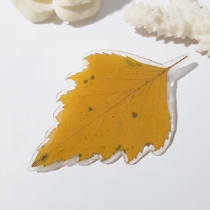 Brosa din frunza naturala brosa din rasina Cadou iubitoare natura padure cadou inedit toamna secret santa craciun, Bijuterii, Brose, Confectionarea bijuteriilor, ARTYNOS