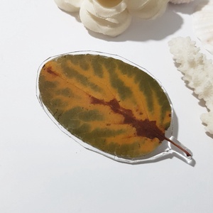 Brosa din frunza naturala brosa din rasina Cadou iubitoare natura padure cadou inedit toamna secret santa craciun, Bijuterii, Brose, Confectionarea bijuteriilor, ARTYNOS