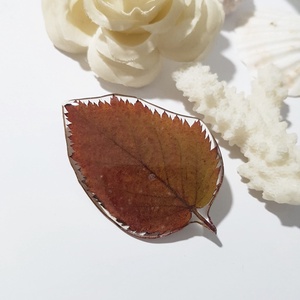 Brosa din frunza naturala brosa din rasina Cadou iubitoare natura padure cadou inedit toamna secret santa craciun, Bijuterii, Brose, Confectionarea bijuteriilor, ARTYNOS